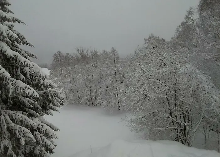 Novy 아파트